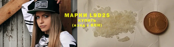 винт Алзамай