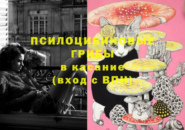 прущие крисы Абинск