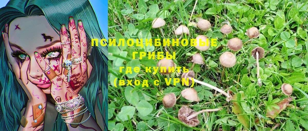 ALPHA PVP Алексин